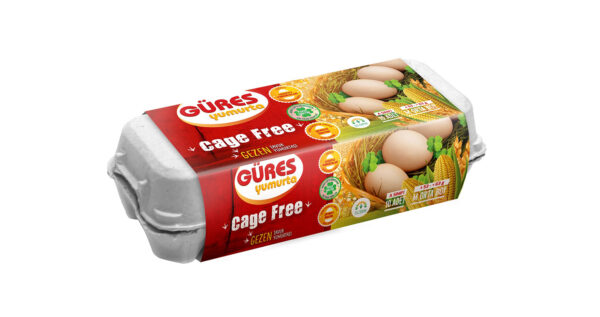 10 Adet Cage Free Tavuk Yumurtası